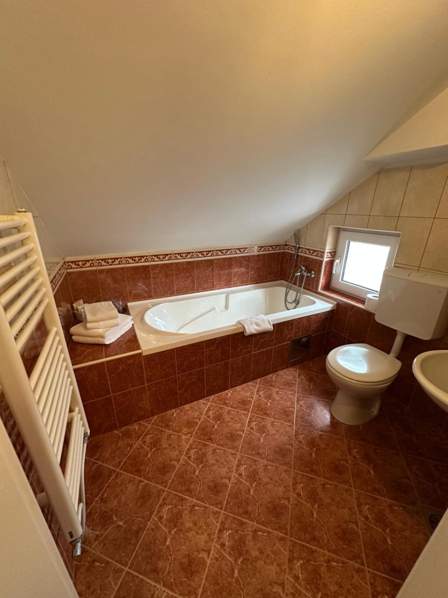Hotel Grande Celje Extérieur photo